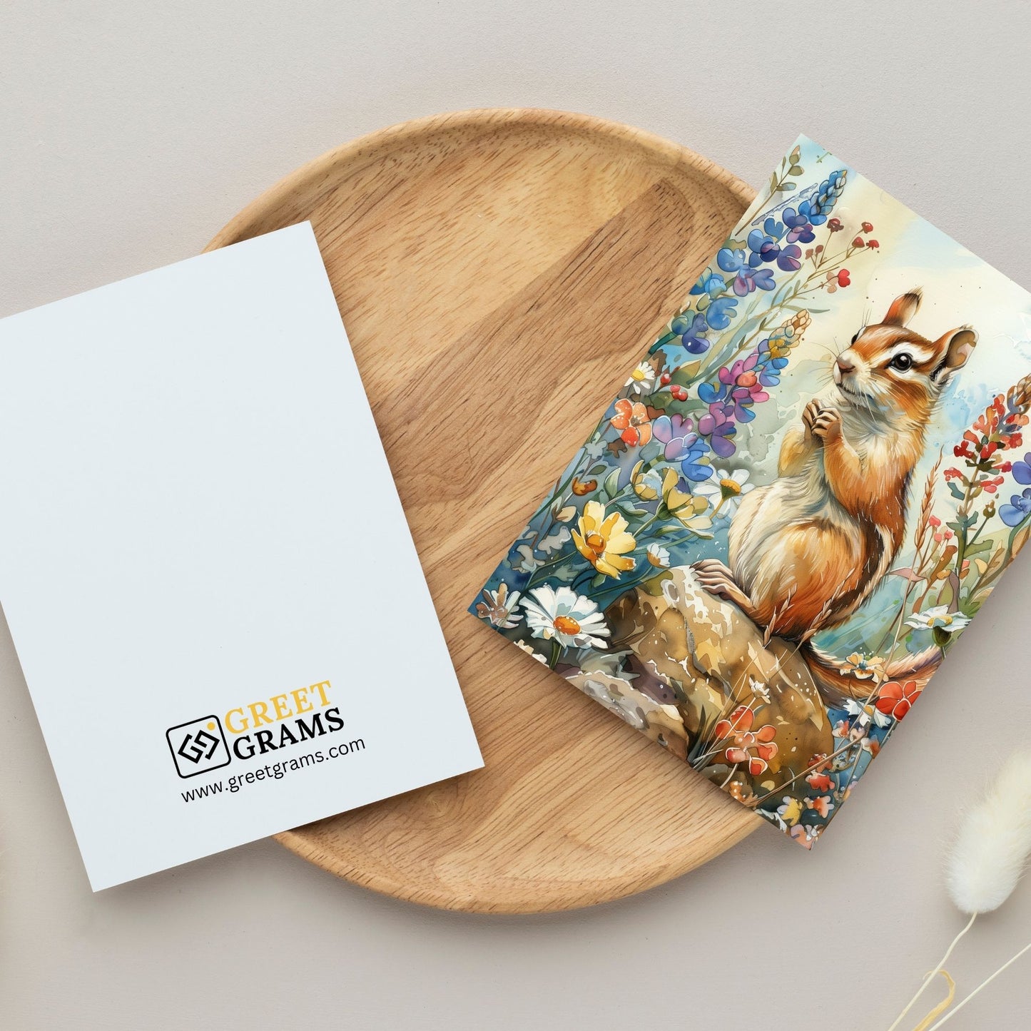 greeting card of a  Chipmunk's marvelling at the enchanted forest in grey background