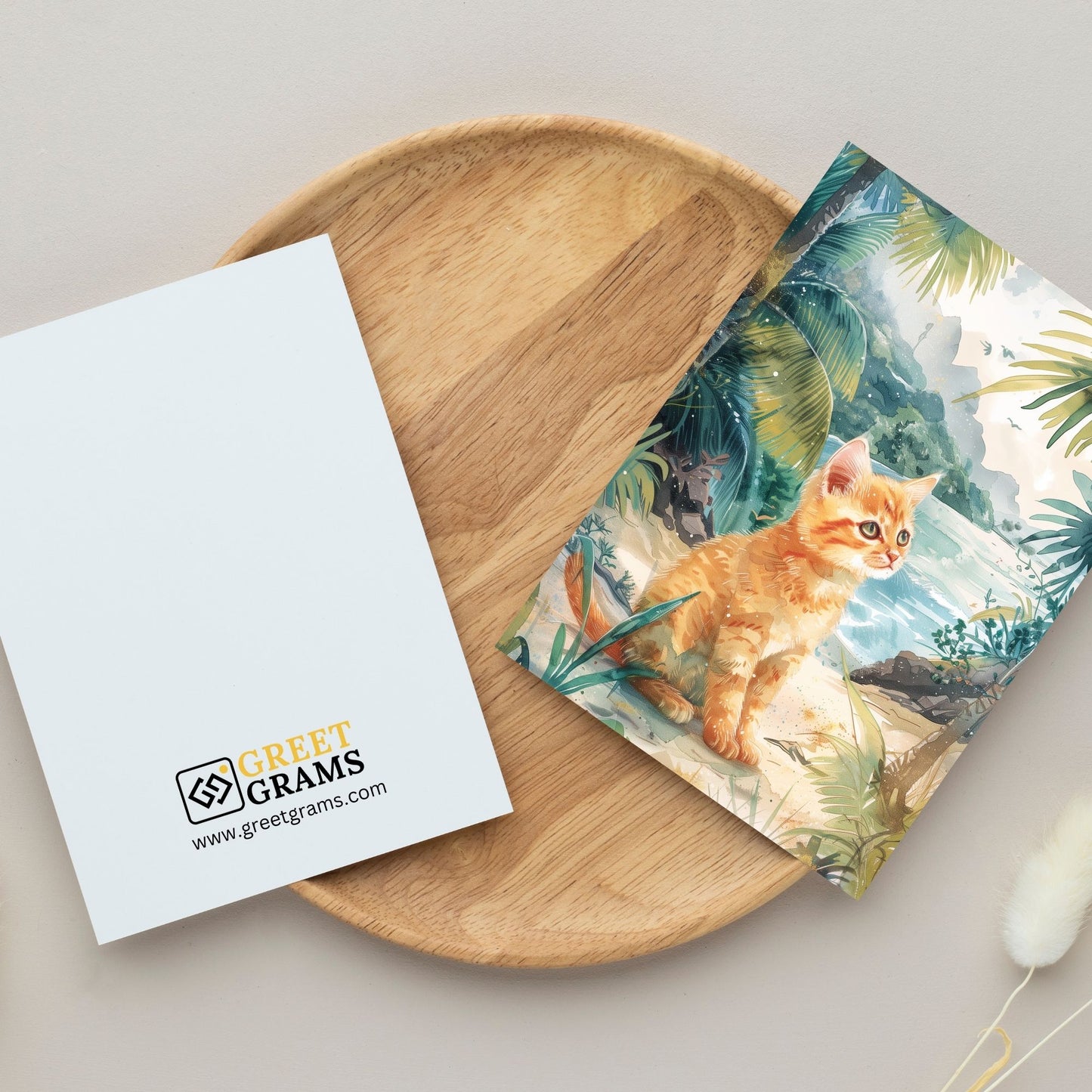 greeting card of a Kitten sitting at the beautiful seaside corner in grey background