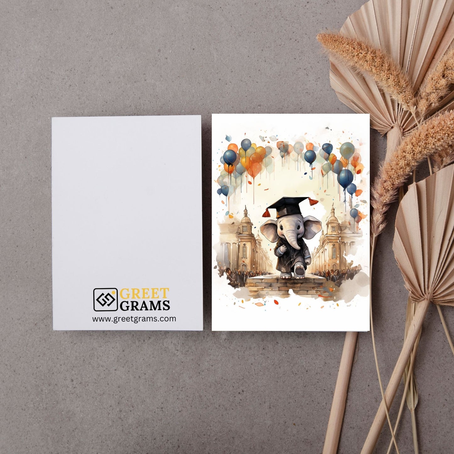 Elephant Graduation Card 1 front_back
