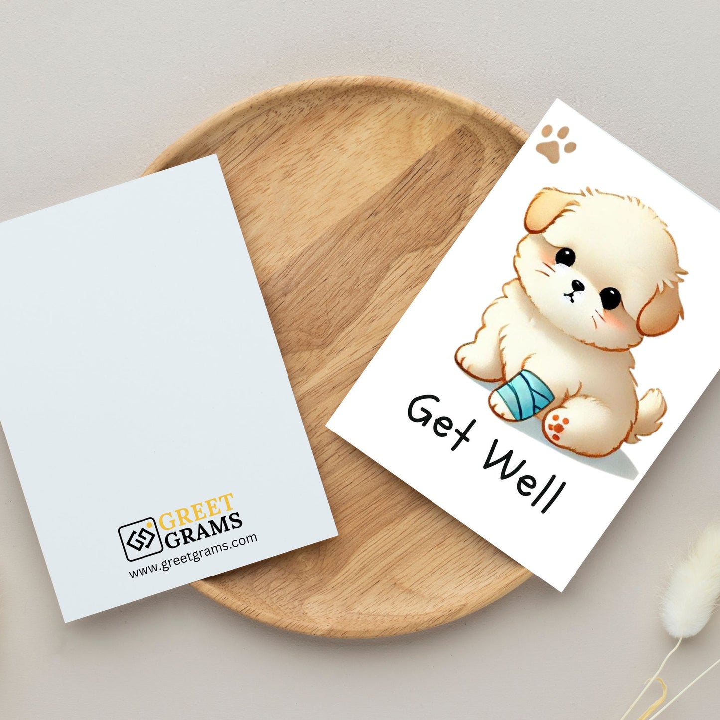 puppy with blue band on leg