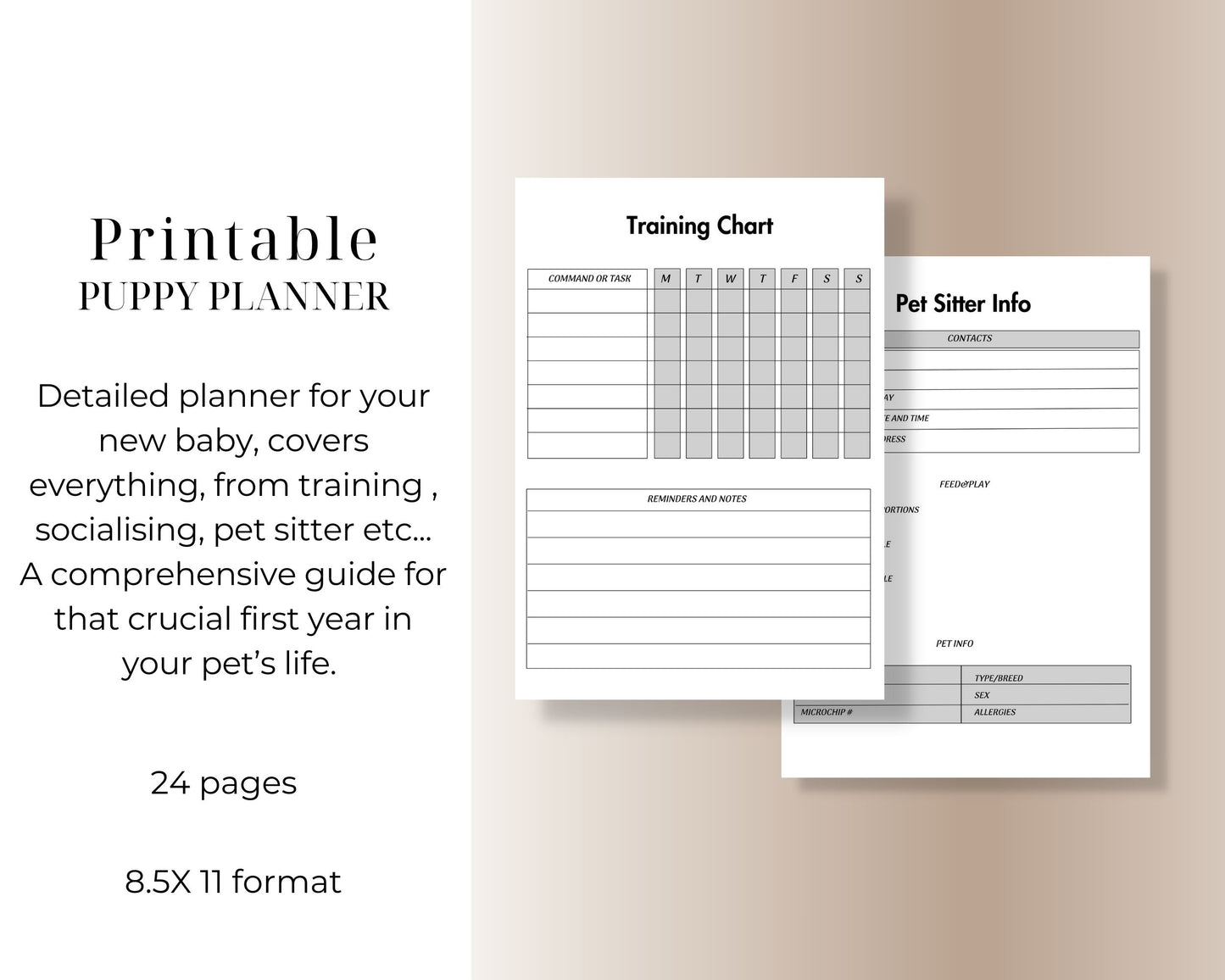 illustration of two pages