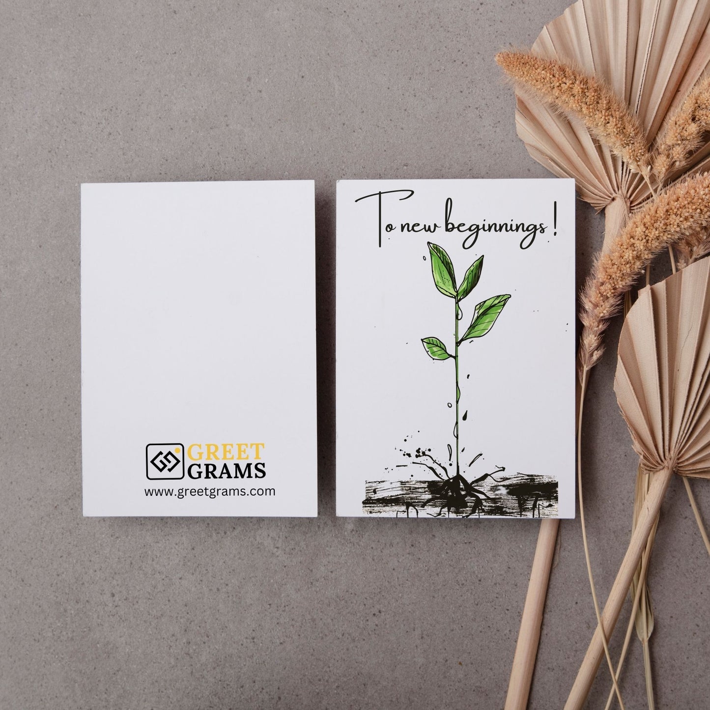 Graduation card showing a new beginning signifying a plant