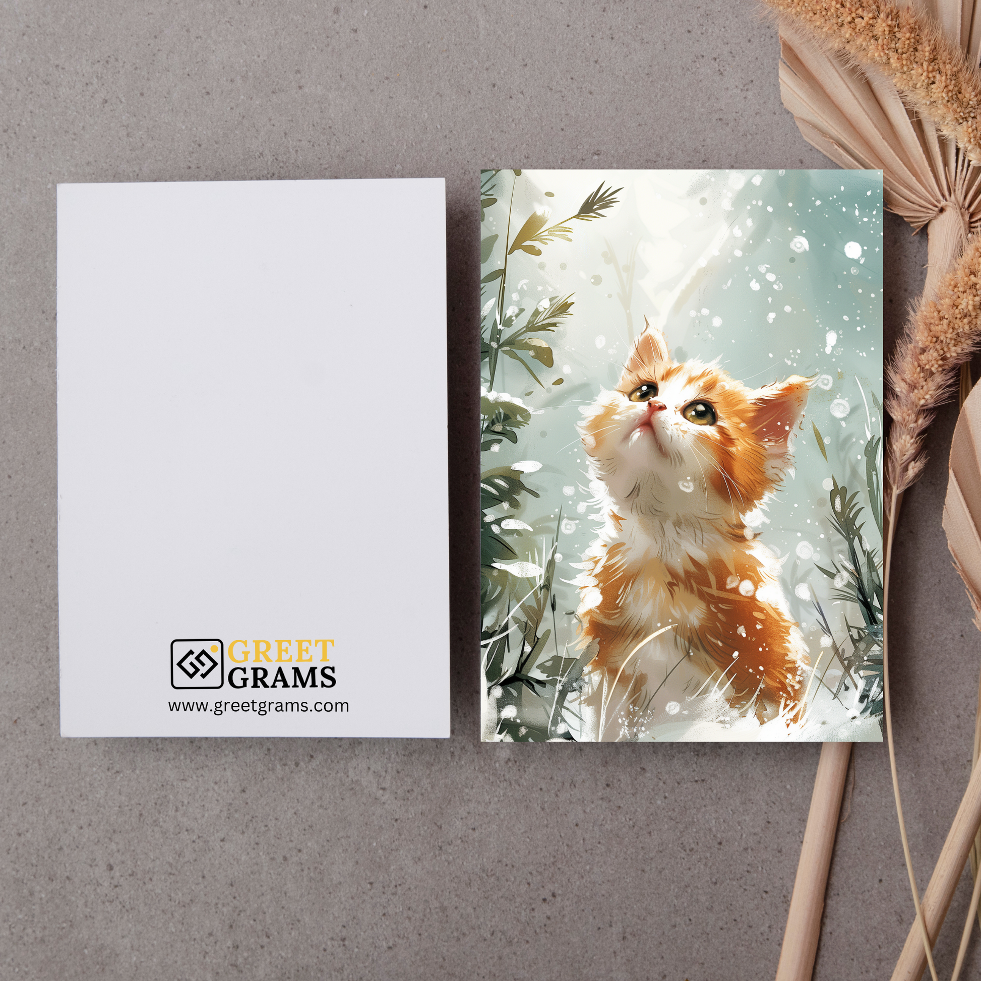 greeting card of a kitten in the snow with the grey background